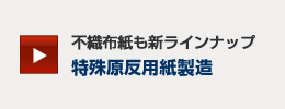 �s�D�z�����V���C���i�b�v�@���ꌴ���p������